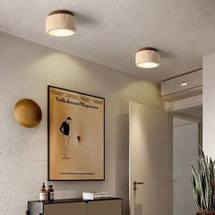 Two stone texture pendant lights with wood tops installed on a ceiling in a hallway with a large framed poster on the wall.