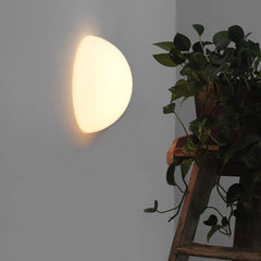 Round wall light fixture on a gray wall with a plant next to it.