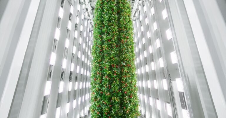 America's First Indoor Vertical Farm Opens, Producing 4 Million Pounds